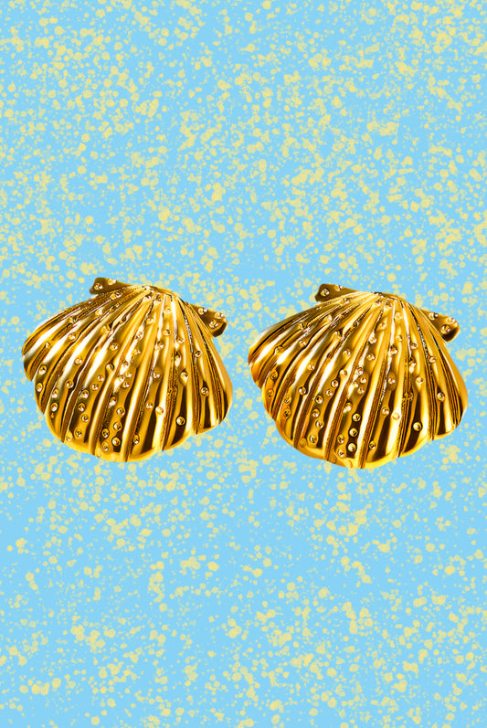 Seashell Earrings